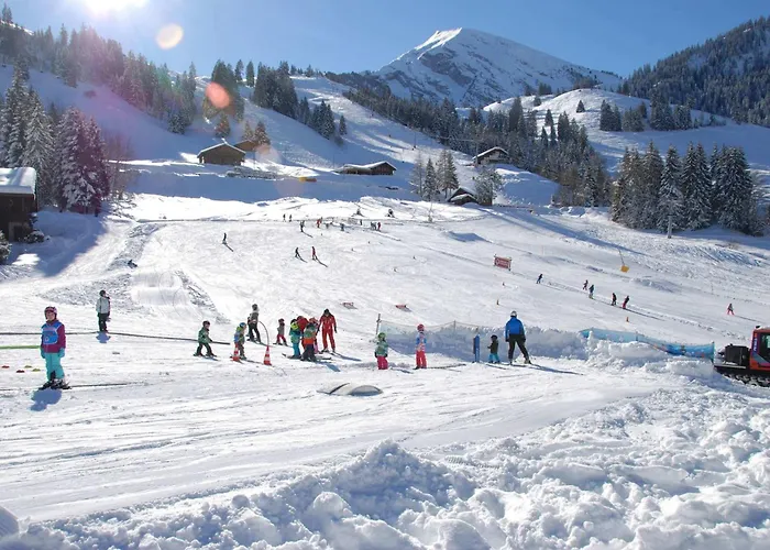 Alpine For 4 In Nature Parc Balcony&parking * Diemtigen