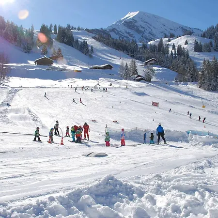 Alpine For 4 In Nature Parc Balcony&parking * Diemtigen